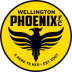 Wellington Phoenix Reserves
